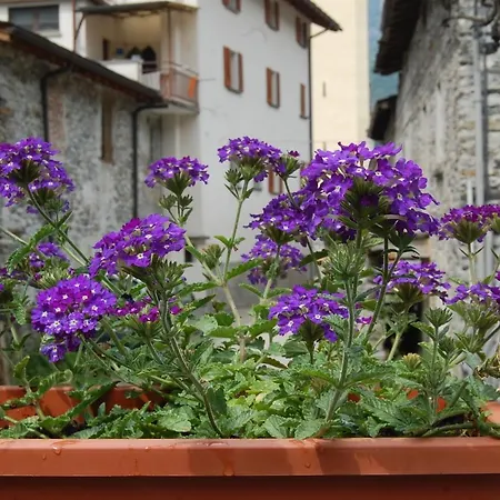 Bed & Breakfast Al Mulino Piuro