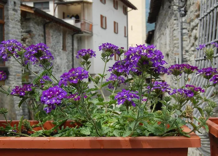 Bed & Breakfast Al Mulino Piuro